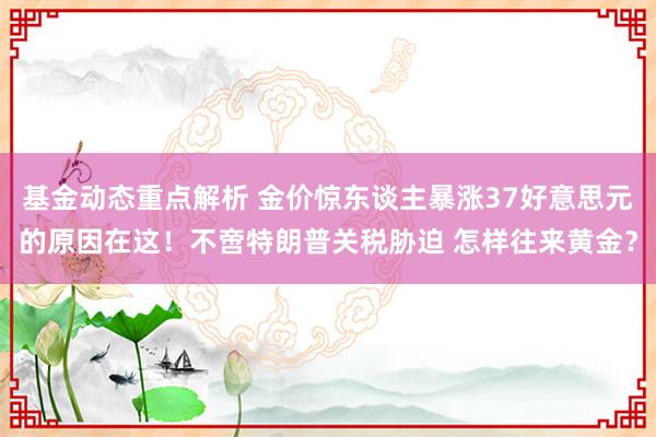 基金动态重点解析 金价惊东谈主暴涨37好意思元的原因在这！不啻特朗普关税胁迫 怎样往来黄金？