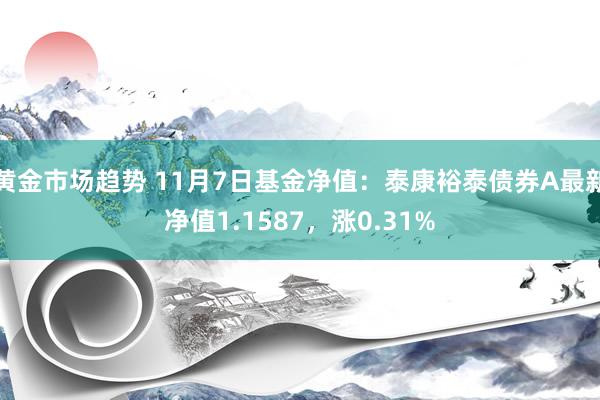 黄金市场趋势 11月7日基金净值：泰康裕泰债券A最新净值1.1587，涨0.31%