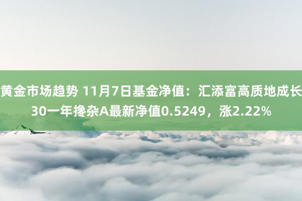 黄金市场趋势 11月7日基金净值：汇添富高质地成长30一年搀杂A最新净值0.5249，涨2.22%