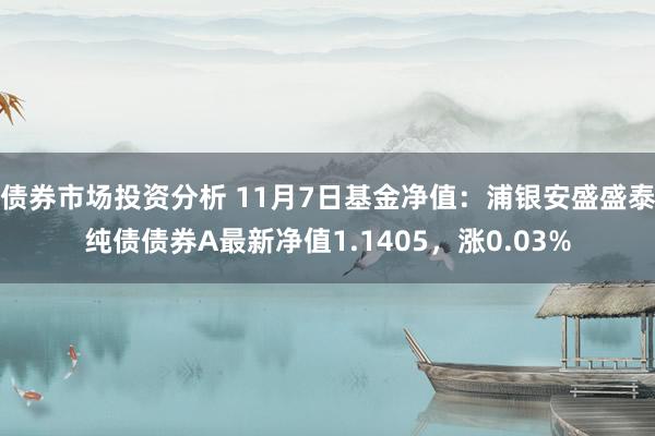 债券市场投资分析 11月7日基金净值：浦银安盛盛泰纯债债券A最新净值1.1405，涨0.03%