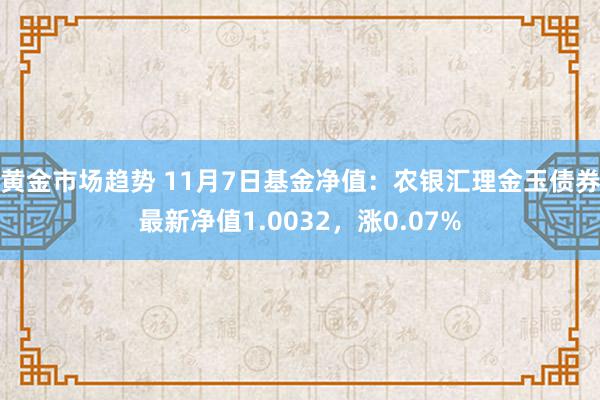 黄金市场趋势 11月7日基金净值：农银汇理金玉债券最新净值1.0032，涨0.07%