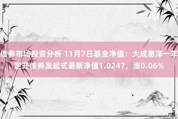 债券市场投资分析 11月7日基金净值：大成惠泽一年定开债券发起式最新净值1.0247，涨0.06%