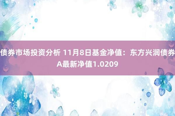 债券市场投资分析 11月8日基金净值：东方兴润债券A最新净值1.0209