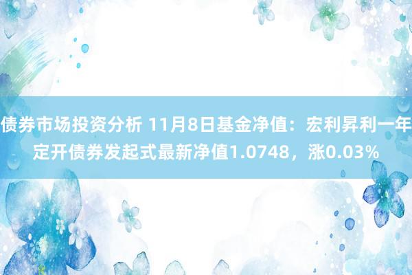 债券市场投资分析 11月8日基金净值：宏利昇利一年定开债券发起式最新净值1.0748，涨0.03%