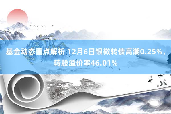 基金动态重点解析 12月6日银微转债高潮0.25%，转股溢价率46.01%