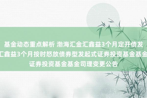 基金动态重点解析 渤海汇金汇鑫益3个月定开债发起: 渤海汇金汇鑫益3个月按时怒放债券型发起式证券投资基金基金司理变更公告