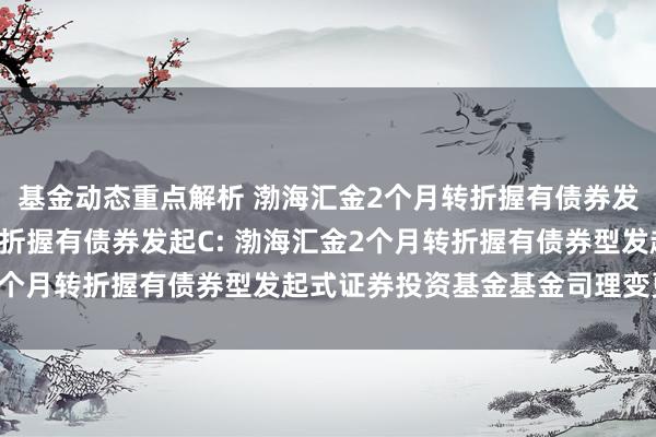 基金动态重点解析 渤海汇金2个月转折握有债券发起A,渤海汇金2个月转折握有债券发起C: 渤海汇金2个月转折握有债券型发起式证券投资基金基金司理变更公告