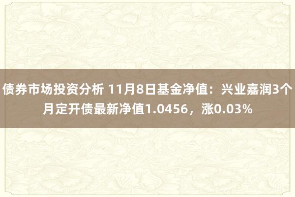 债券市场投资分析 11月8日基金净值：兴业嘉润3个月定开债最新净值1.0456，涨0.03%