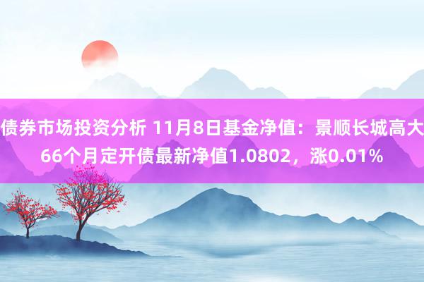 债券市场投资分析 11月8日基金净值：景顺长城高大66个月定开债最新净值1.0802，涨0.01%