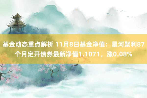 基金动态重点解析 11月8日基金净值：星河聚利87个月定开债券最新净值1.1071，涨0.08%