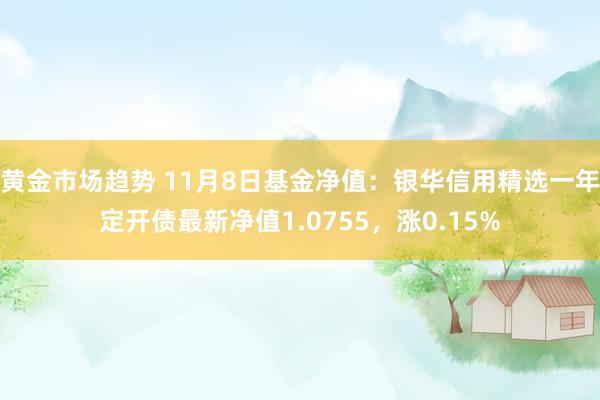 黄金市场趋势 11月8日基金净值：银华信用精选一年定开债最新净值1.0755，涨0.15%