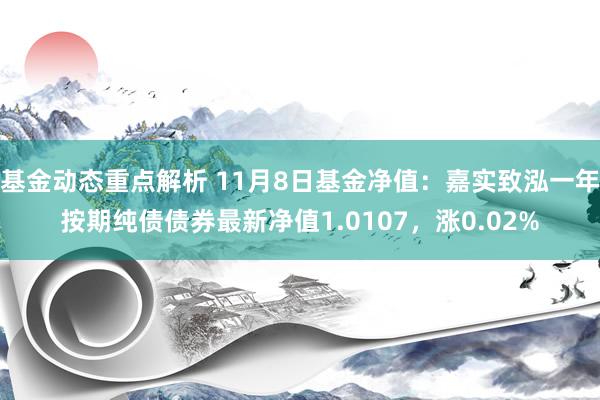 基金动态重点解析 11月8日基金净值：嘉实致泓一年按期纯债债券最新净值1.0107，涨0.02%