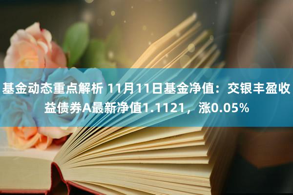 基金动态重点解析 11月11日基金净值：交银丰盈收益债券A最新净值1.1121，涨0.05%