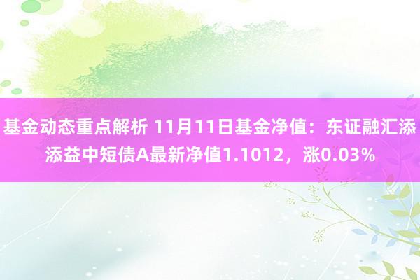 基金动态重点解析 11月11日基金净值：东证融汇添添益中短债A最新净值1.1012，涨0.03%