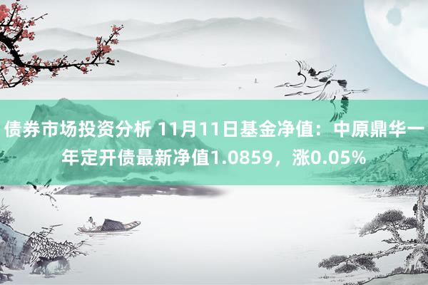 债券市场投资分析 11月11日基金净值：中原鼎华一年定开债最新净值1.0859，涨0.05%