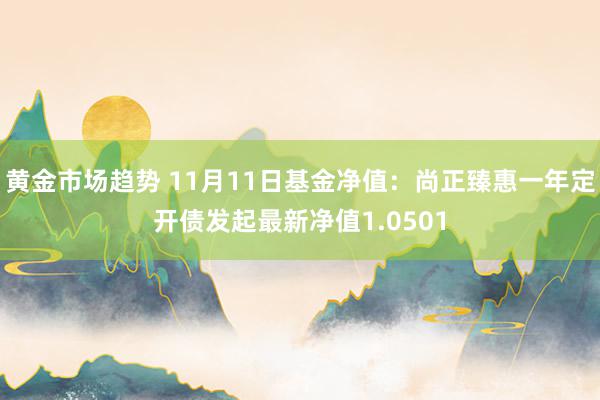 黄金市场趋势 11月11日基金净值：尚正臻惠一年定开债发起最新净值1.0501