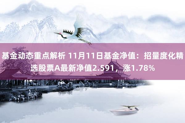 基金动态重点解析 11月11日基金净值：招量度化精选股票A最新净值2.591，涨1.78%