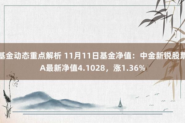 基金动态重点解析 11月11日基金净值：中金新锐股票A最新净值4.1028，涨1.36%