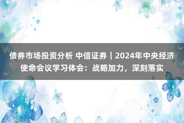 债券市场投资分析 中信证券｜2024年中央经济使命会议学习体会：战略加力，深刻落实