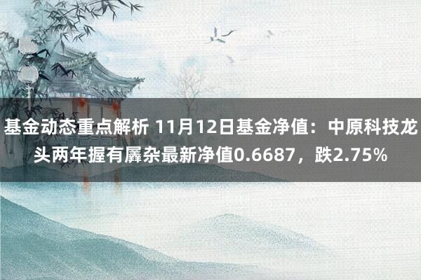 基金动态重点解析 11月12日基金净值：中原科技龙头两年握有羼杂最新净值0.6687，跌2.75%