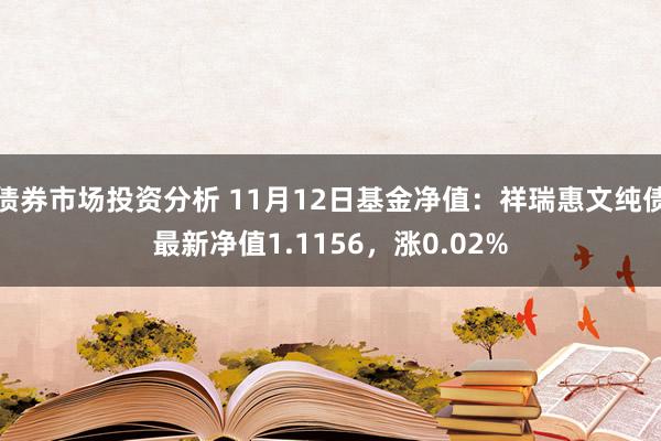 债券市场投资分析 11月12日基金净值：祥瑞惠文纯债最新净值1.1156，涨0.02%