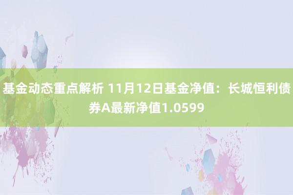 基金动态重点解析 11月12日基金净值：长城恒利债券A最新净值1.0599