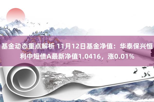 基金动态重点解析 11月12日基金净值：华泰保兴恒利中短债A最新净值1.0416，涨0.01%