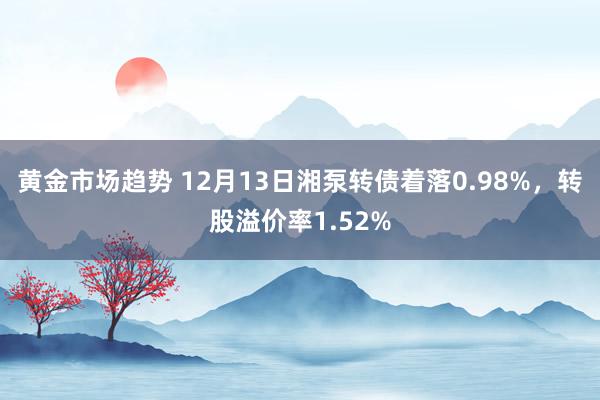 黄金市场趋势 12月13日湘泵转债着落0.98%，转股溢价率1.52%