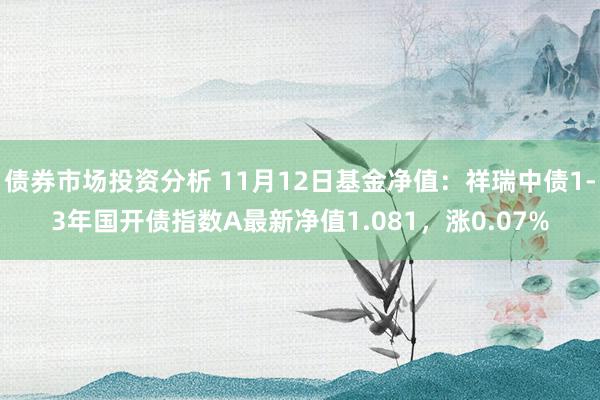 债券市场投资分析 11月12日基金净值：祥瑞中债1-3年国开债指数A最新净值1.081，涨0.07%