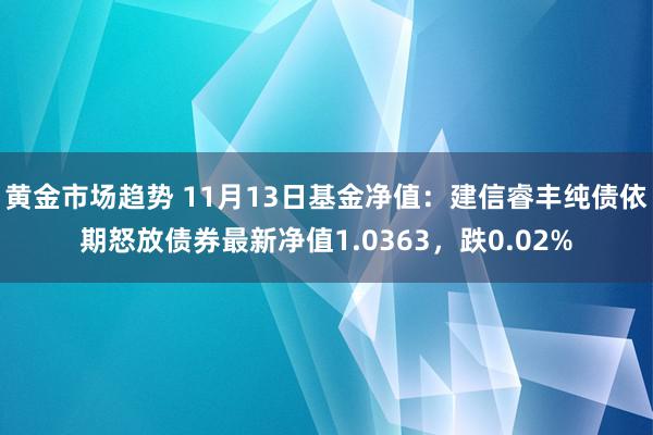 黄金市场趋势 11月13日基金净值：建信睿丰纯债依期怒放债券最新净值1.0363，跌0.02%