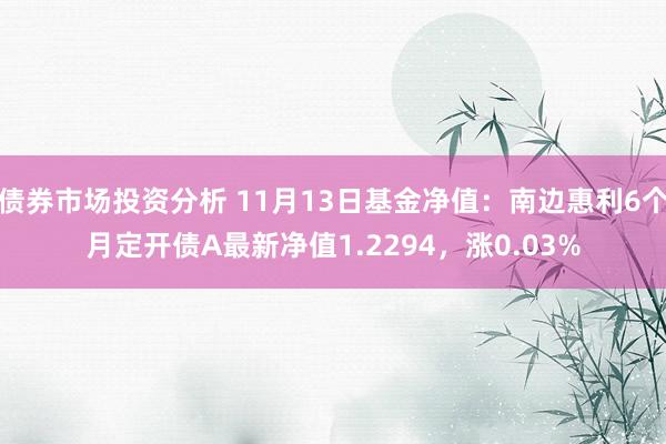 债券市场投资分析 11月13日基金净值：南边惠利6个月定开债A最新净值1.2294，涨0.03%