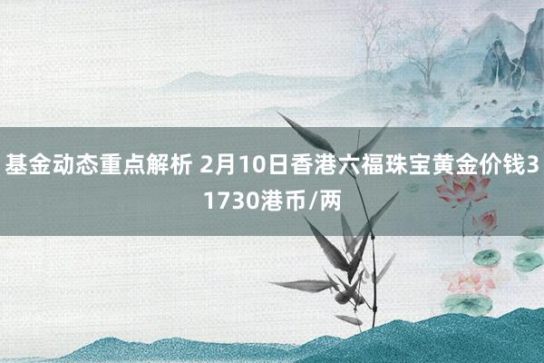 基金动态重点解析 2月10日香港六福珠宝黄金价钱31730港币/两