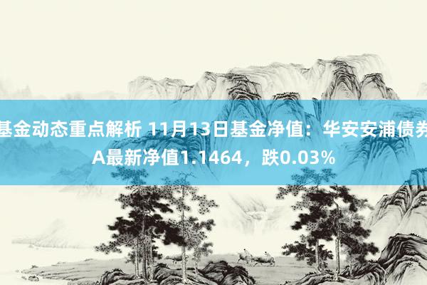 基金动态重点解析 11月13日基金净值：华安安浦债券A最新净值1.1464，跌0.03%