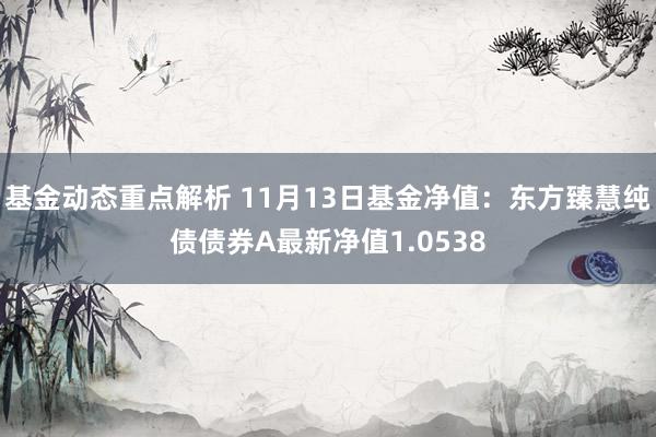 基金动态重点解析 11月13日基金净值：东方臻慧纯债债券A最新净值1.0538