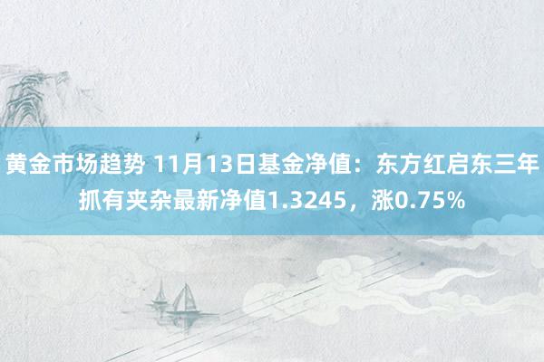 黄金市场趋势 11月13日基金净值：东方红启东三年抓有夹杂最新净值1.3245，涨0.75%