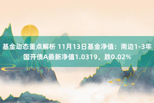 基金动态重点解析 11月13日基金净值：南边1-3年国开债A最新净值1.0319，跌0.02%