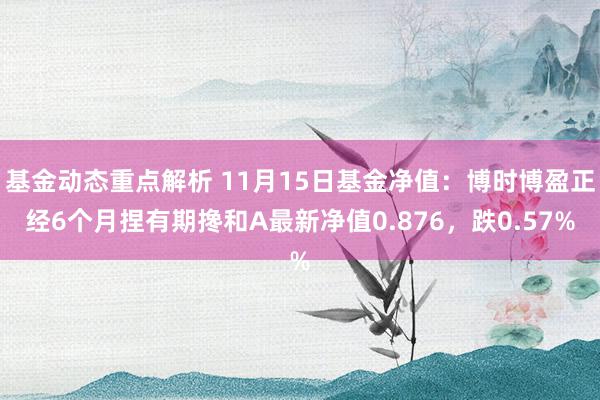 基金动态重点解析 11月15日基金净值：博时博盈正经6个月捏有期搀和A最新净值0.876，跌0.57%