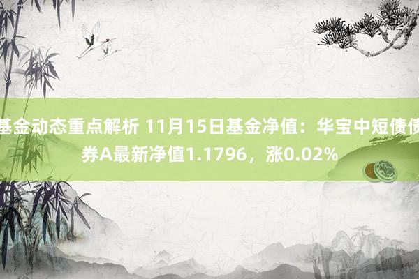 基金动态重点解析 11月15日基金净值：华宝中短债债券A最新净值1.1796，涨0.02%