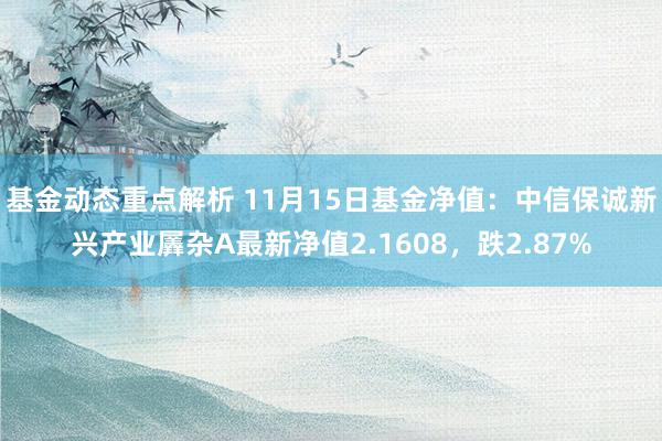 基金动态重点解析 11月15日基金净值：中信保诚新兴产业羼杂A最新净值2.1608，跌2.87%