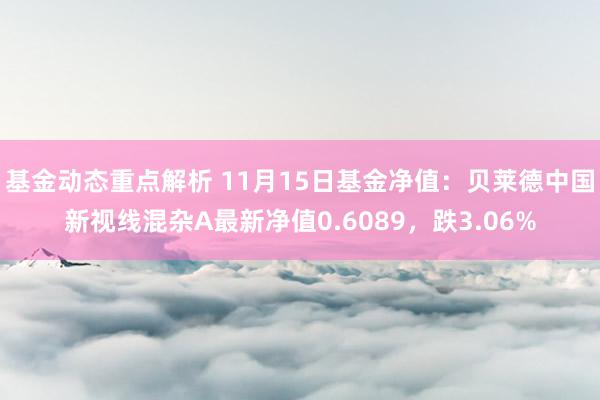 基金动态重点解析 11月15日基金净值：贝莱德中国新视线混杂A最新净值0.6089，跌3.06%