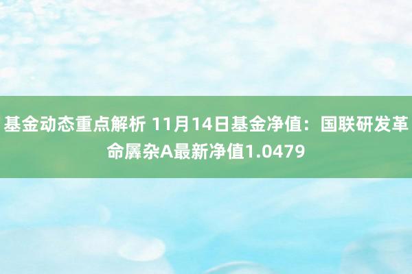 基金动态重点解析 11月14日基金净值：国联研发革命羼杂A最新净值1.0479