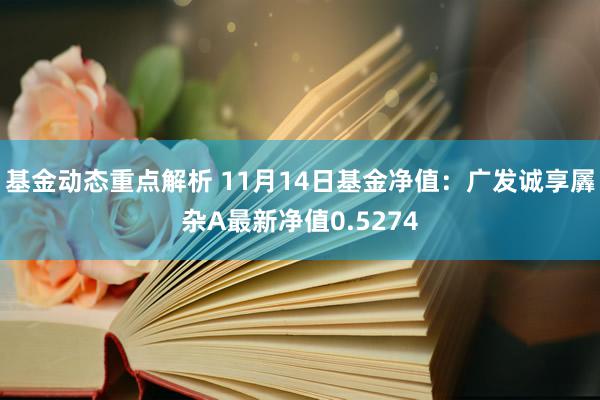 基金动态重点解析 11月14日基金净值：广发诚享羼杂A最新净值0.5274