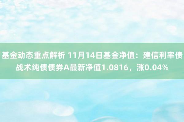 基金动态重点解析 11月14日基金净值：建信利率债战术纯债债券A最新净值1.0816，涨0.04%