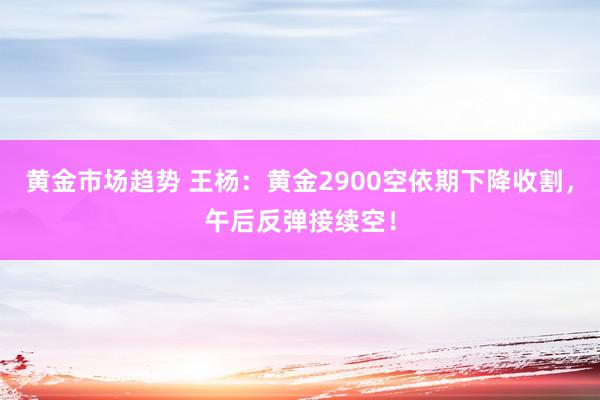 黄金市场趋势 王杨：黄金2900空依期下降收割，午后反弹接续空！