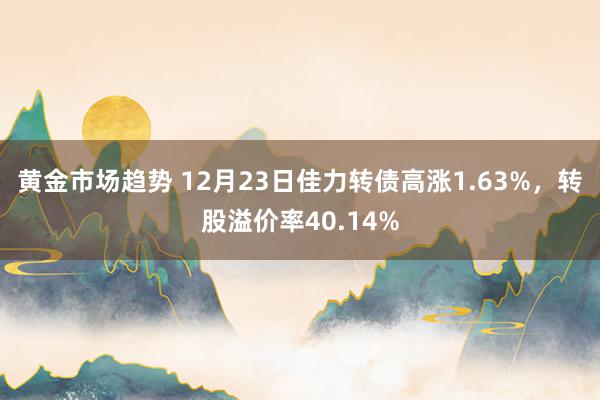 黄金市场趋势 12月23日佳力转债高涨1.63%，转股溢价率40.14%