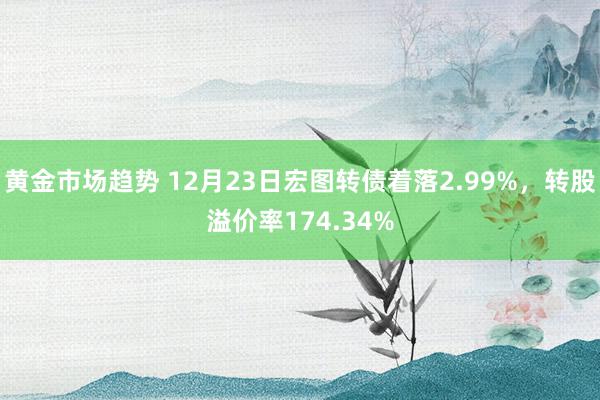 黄金市场趋势 12月23日宏图转债着落2.99%，转股溢价率174.34%