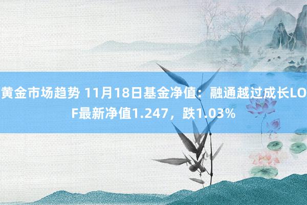 黄金市场趋势 11月18日基金净值：融通越过成长LOF最新净值1.247，跌1.03%