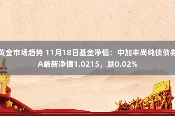 黄金市场趋势 11月18日基金净值：中加丰尚纯债债券A最新净值1.0215，跌0.02%