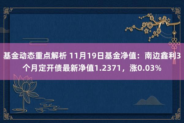 基金动态重点解析 11月19日基金净值：南边鑫利3个月定开债最新净值1.2371，涨0.03%