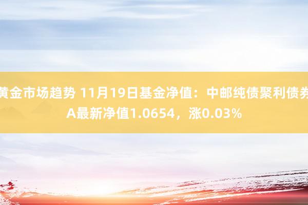 黄金市场趋势 11月19日基金净值：中邮纯债聚利债券A最新净值1.0654，涨0.03%